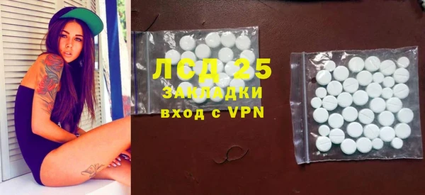 трава Новозыбков