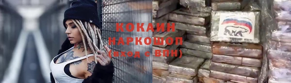 трава Новозыбков