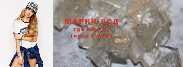 трава Новозыбков