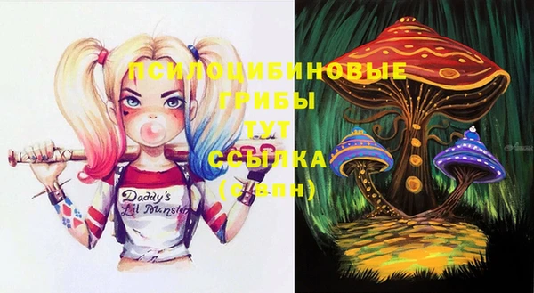 трава Новозыбков