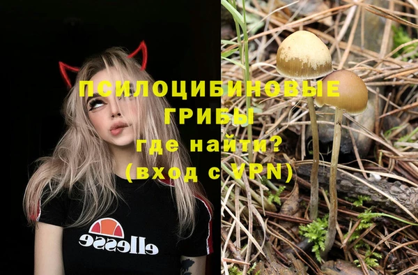 трава Новозыбков
