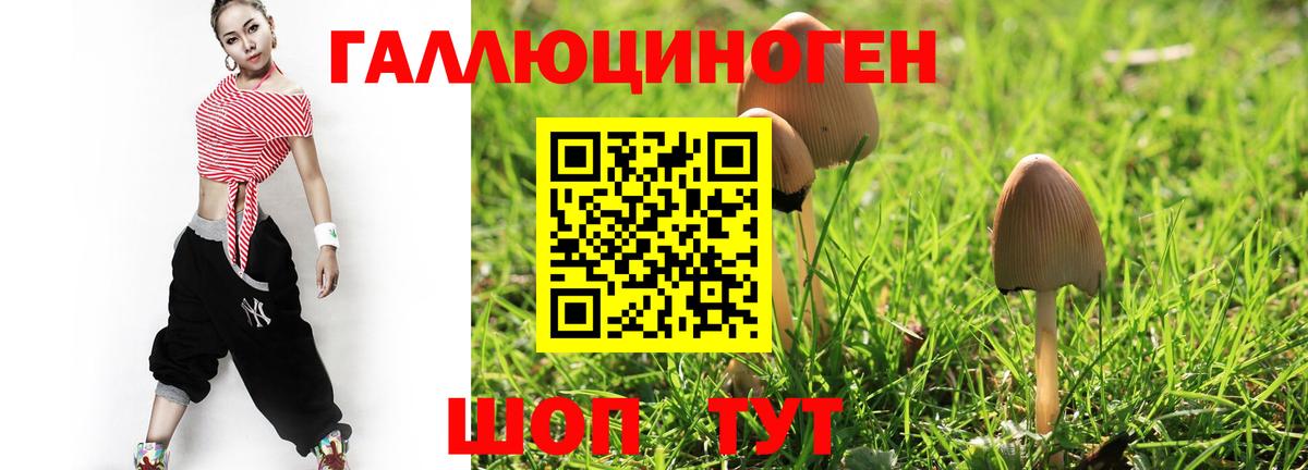Псилоцибиновые грибы MAGIC MUSHROOMS  Вход с VPN  Смоленск 